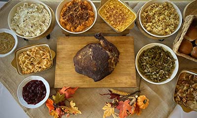 Holiday Turkeys icon